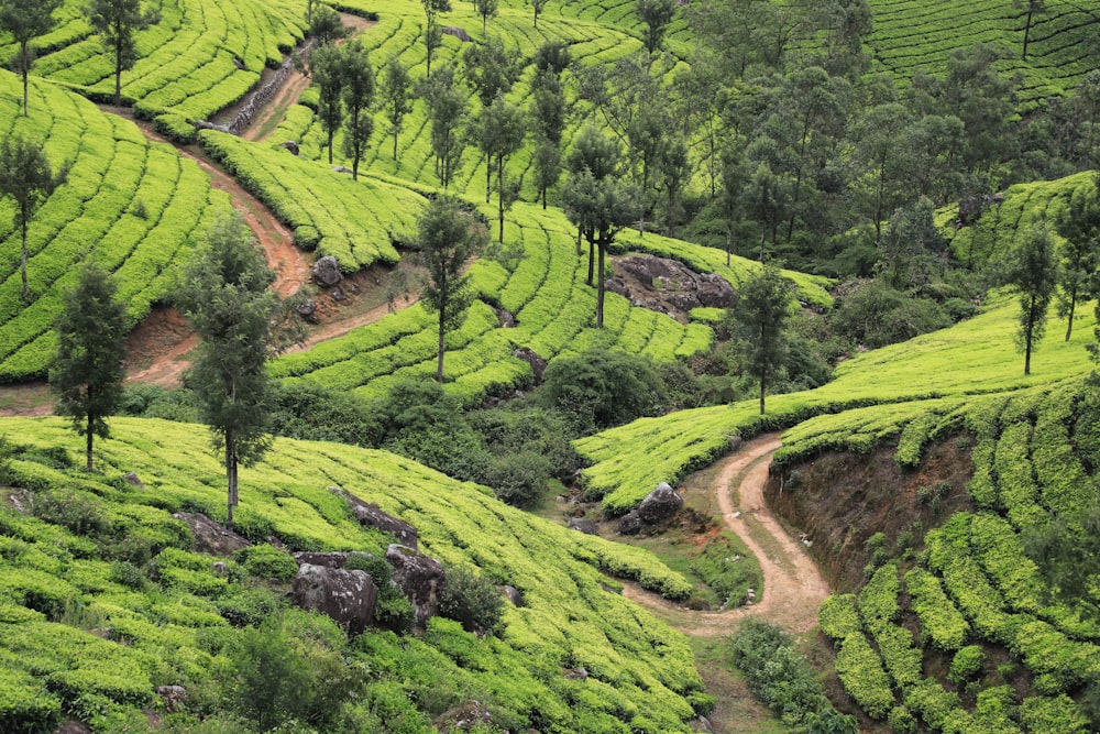 a dirt road winding through a lush green valley