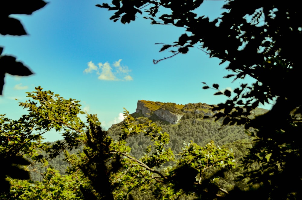 a view of a mountain through some trees