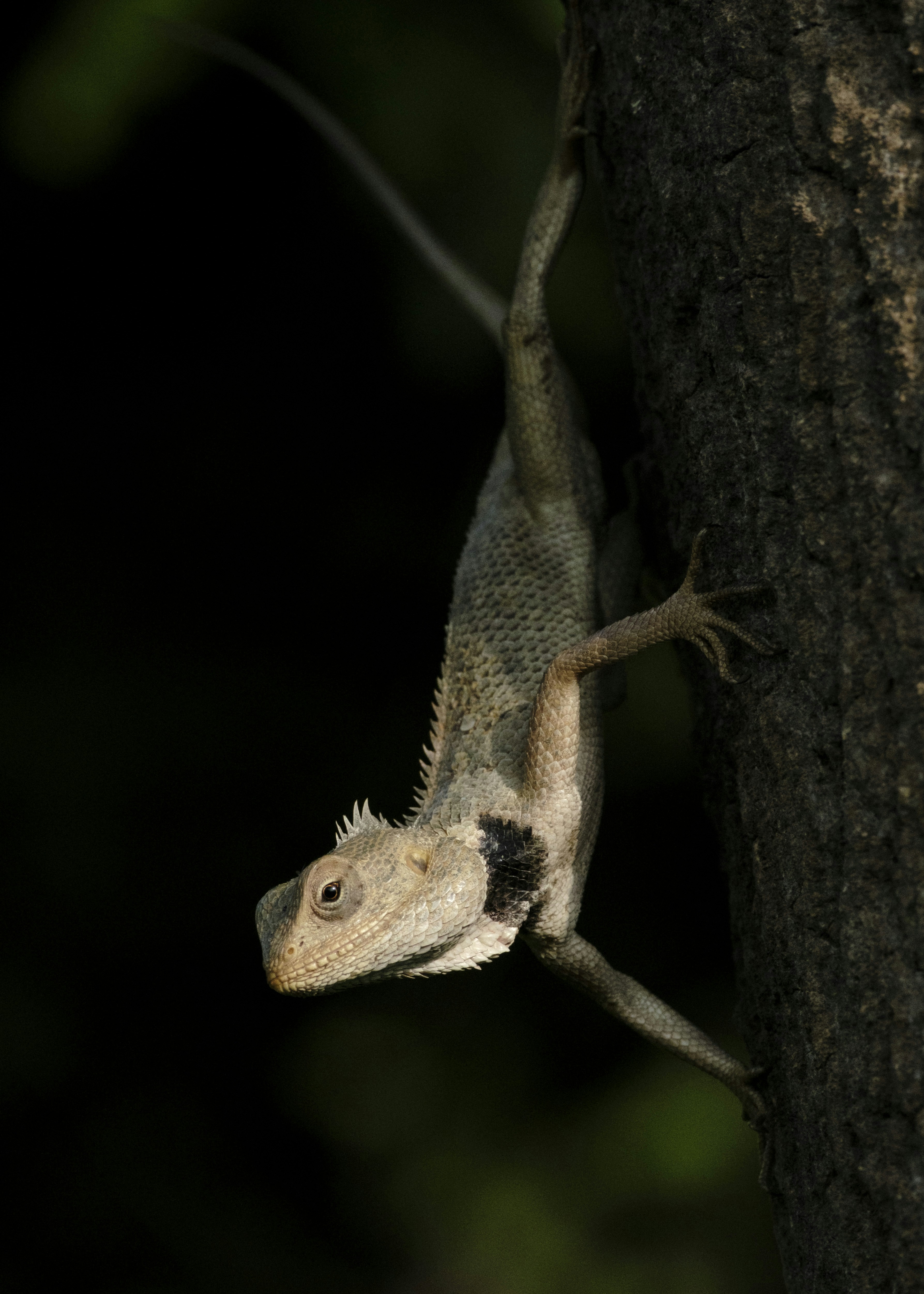 Photo by jaya14shukla