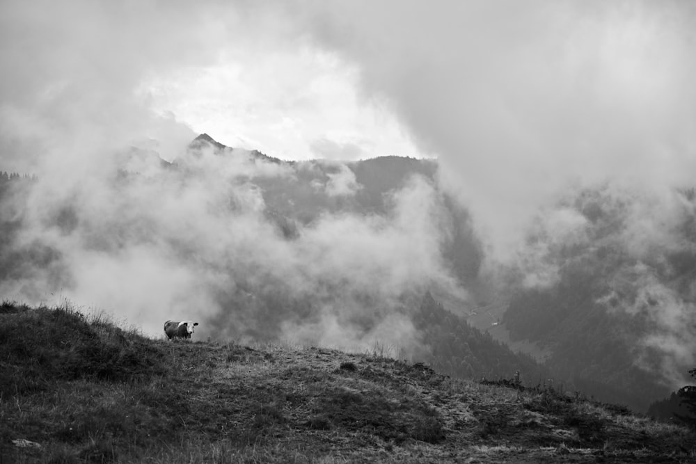 a black and white photo of a foggy mountain