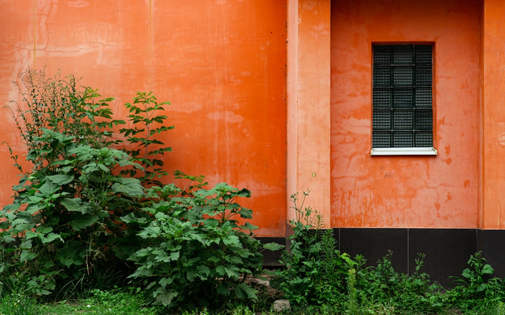 an orange building with a window and bushes