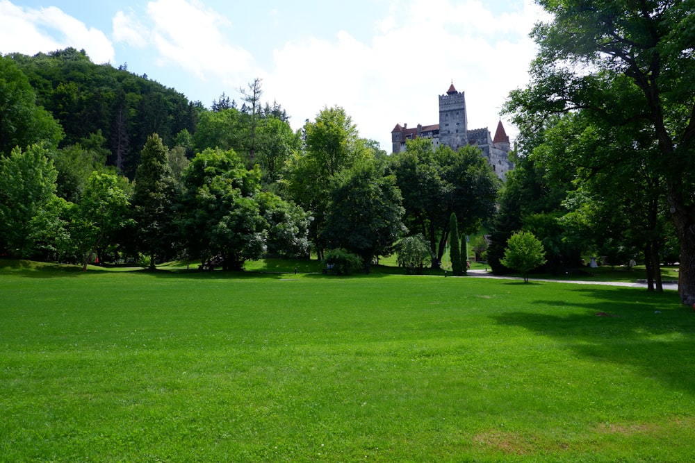 a large grassy field with a castle in the background