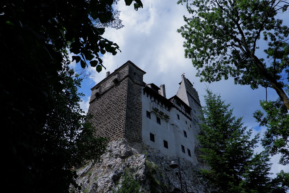 a tall castle sitting on top of a lush green forest