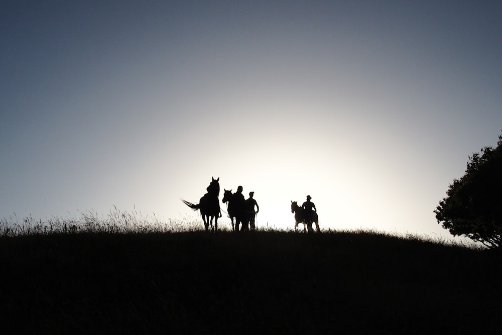 a group of people riding on the back of horses