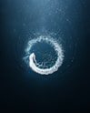 a circular object floating in the middle of the ocean