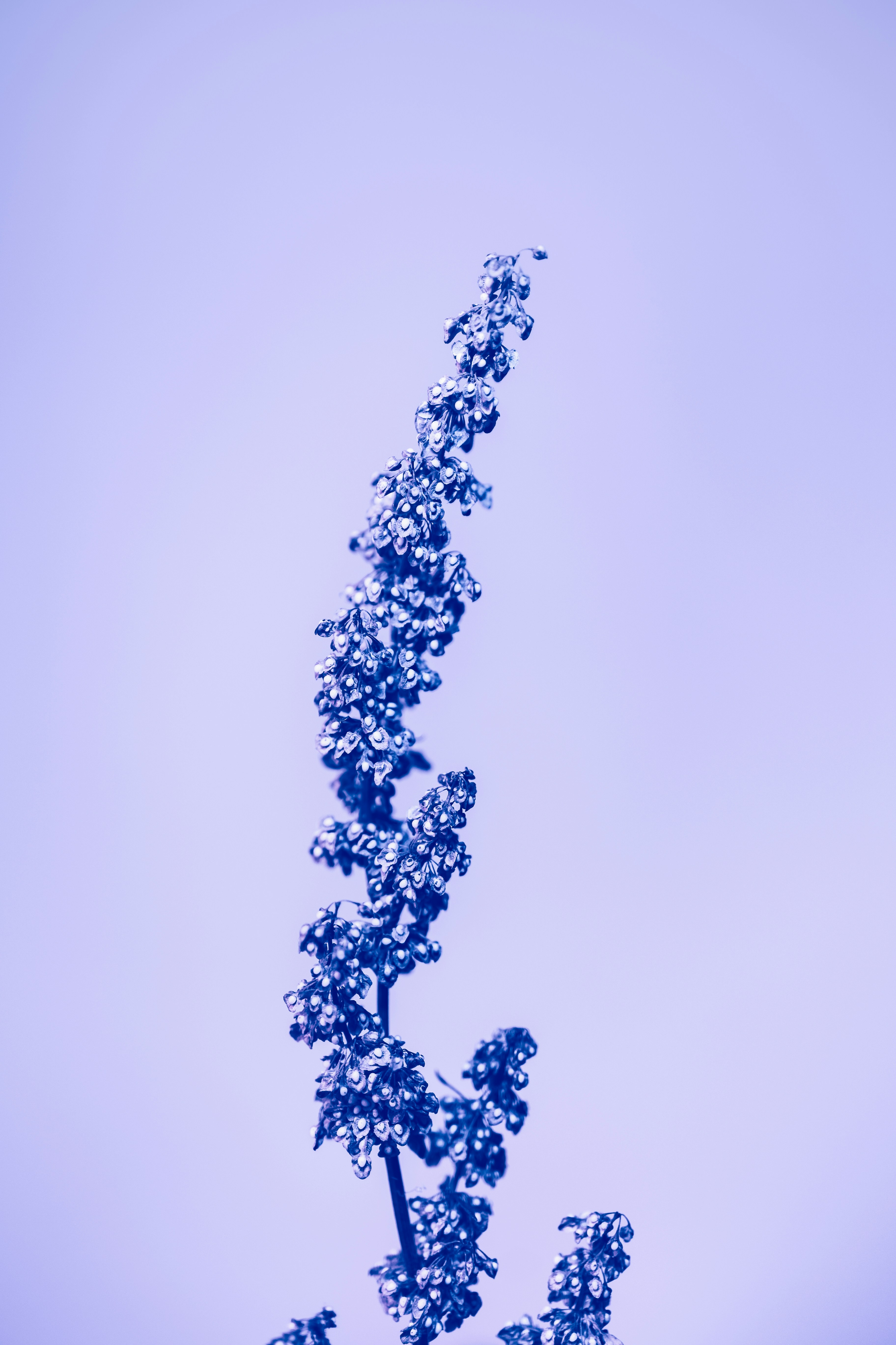 Photo by marekpiwnicki