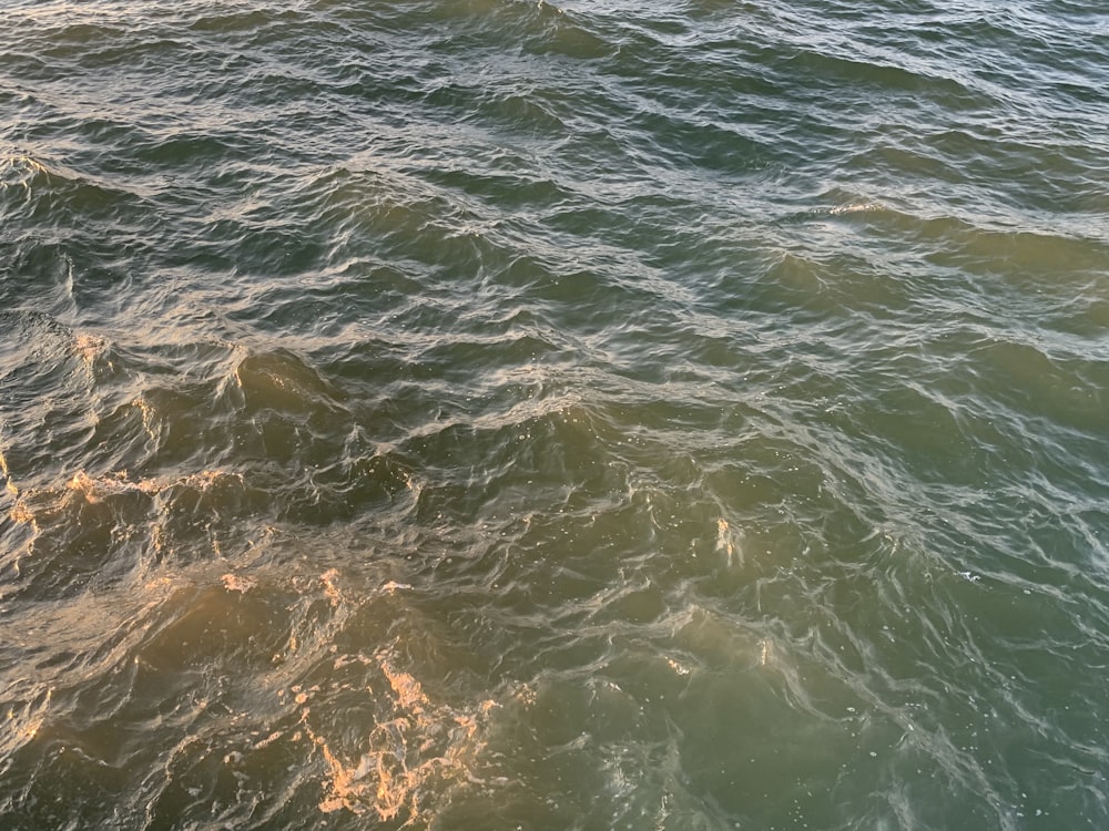 a view of a body of water from a boat