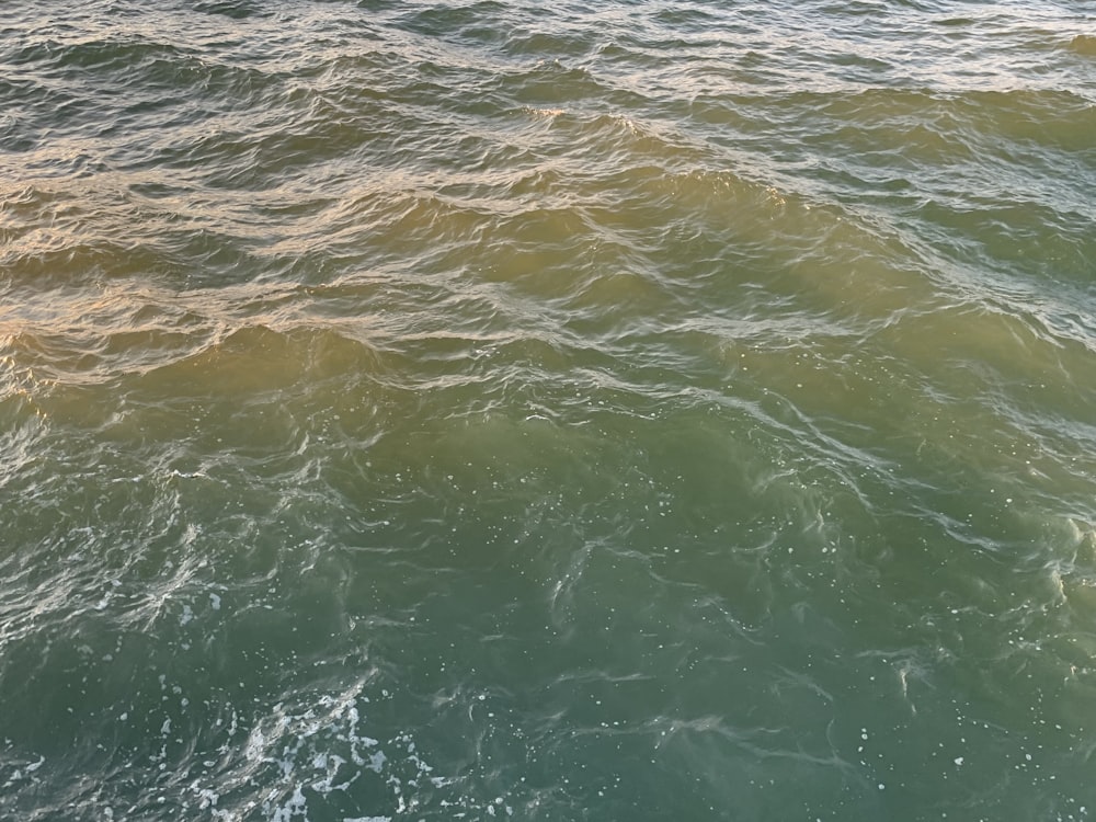 a person riding a surfboard on top of a body of water