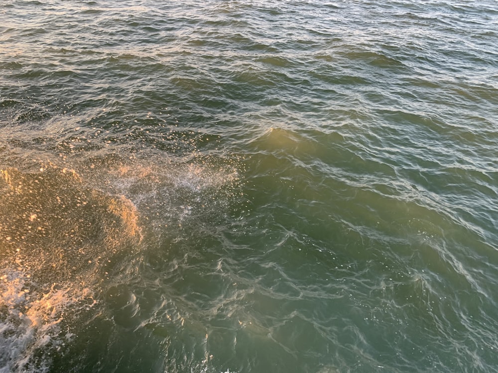 a man riding a wave on top of a surfboard