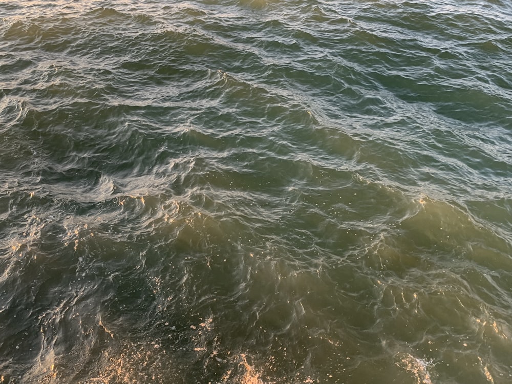 a person riding a surfboard on top of a body of water