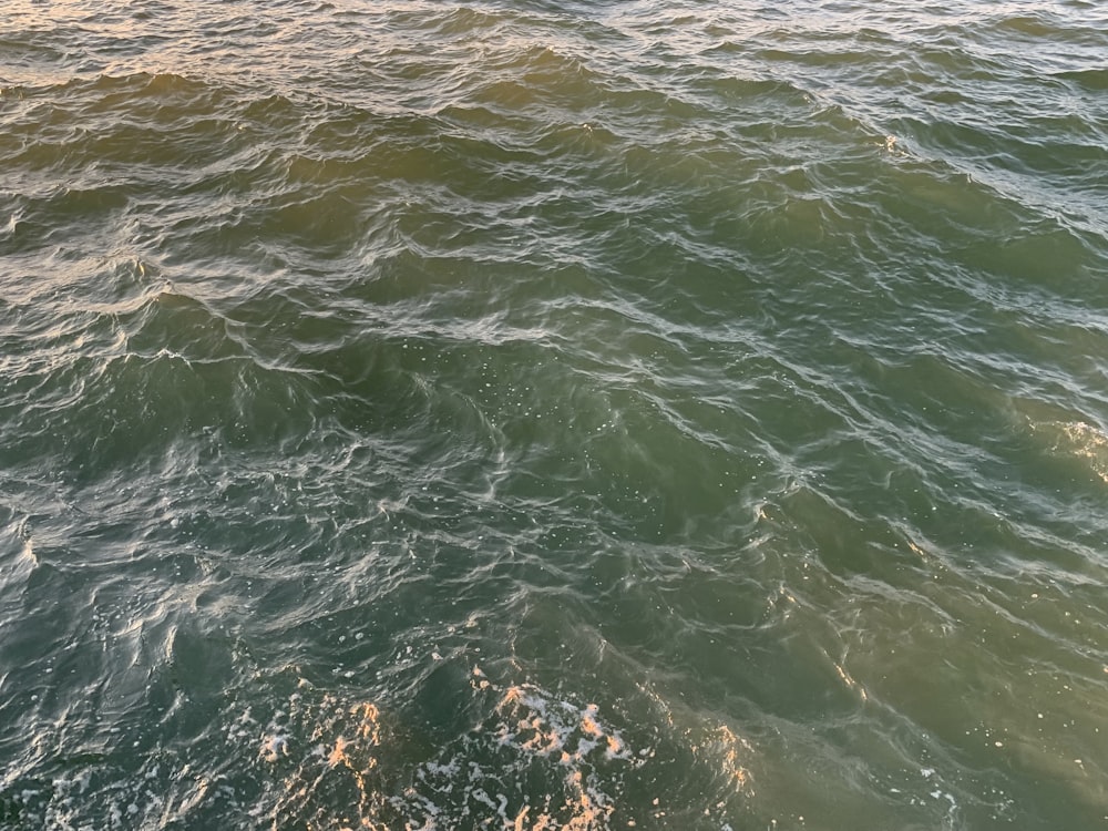 a view of a body of water from a boat