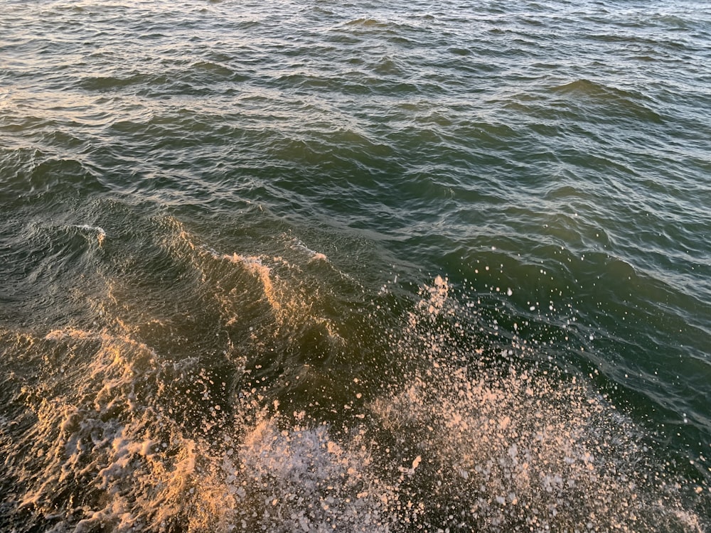 a view of a body of water from a boat