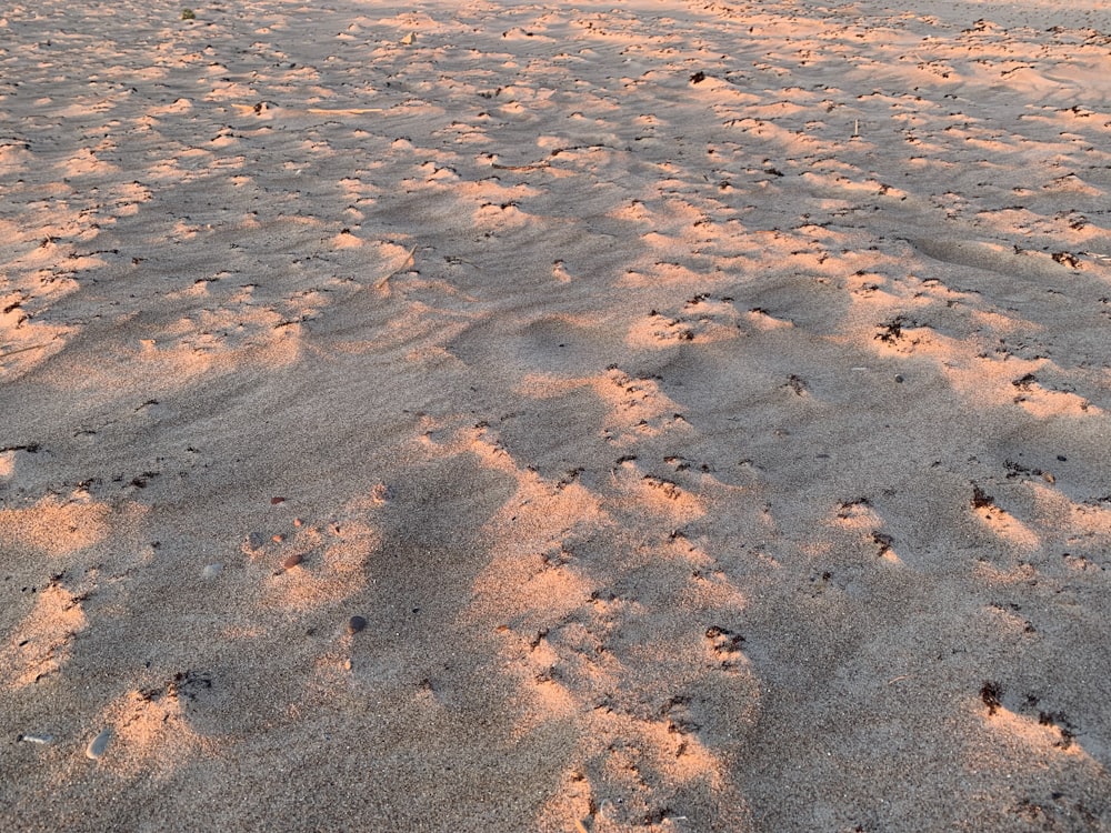 a sandy beach with footprints in the sand