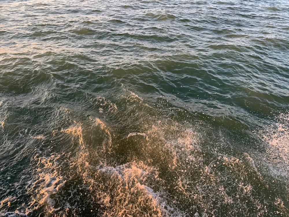 the wake of a boat on the water