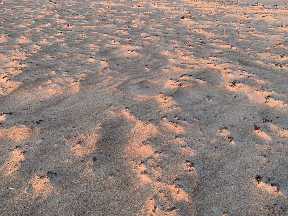 a sandy beach with footprints in the sand