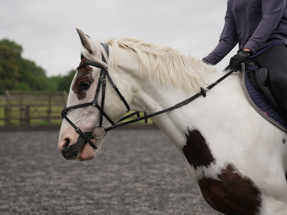 a person riding a white and brown horse