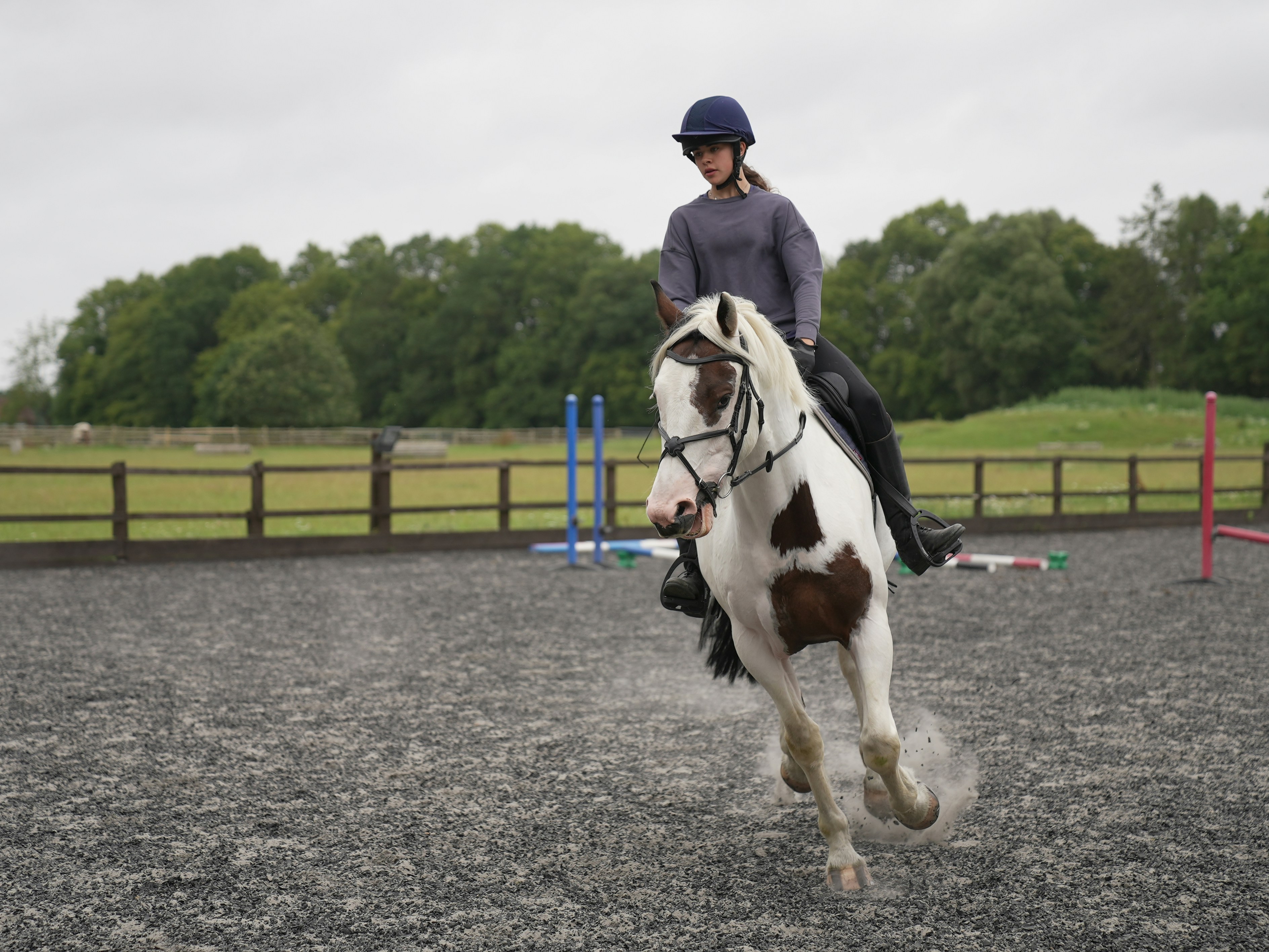 Photo by oscar_scannell