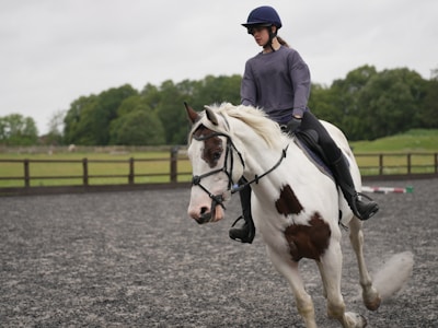 A person wearing a helmet and casual riding attire is riding a white horse with brown patches in an outdoor arena. The background features a wooden fence and green trees, suggesting a countryside setting.
