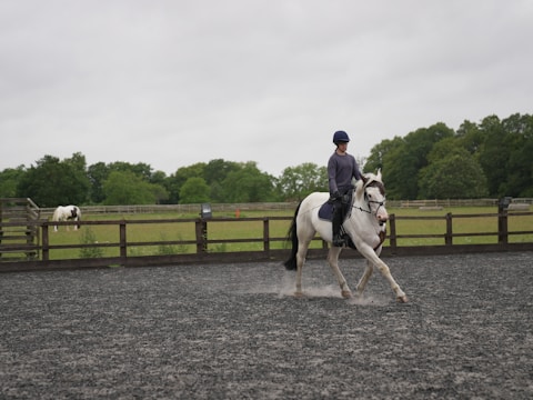A person is riding a white horse with a brown patch in an enclosed, gravel area. The rider is wearing a helmet and casual riding attire. In the background, there is a wooden fence and a grassy field with another horse grazing. The sky is overcast, and trees are visible in the distance.