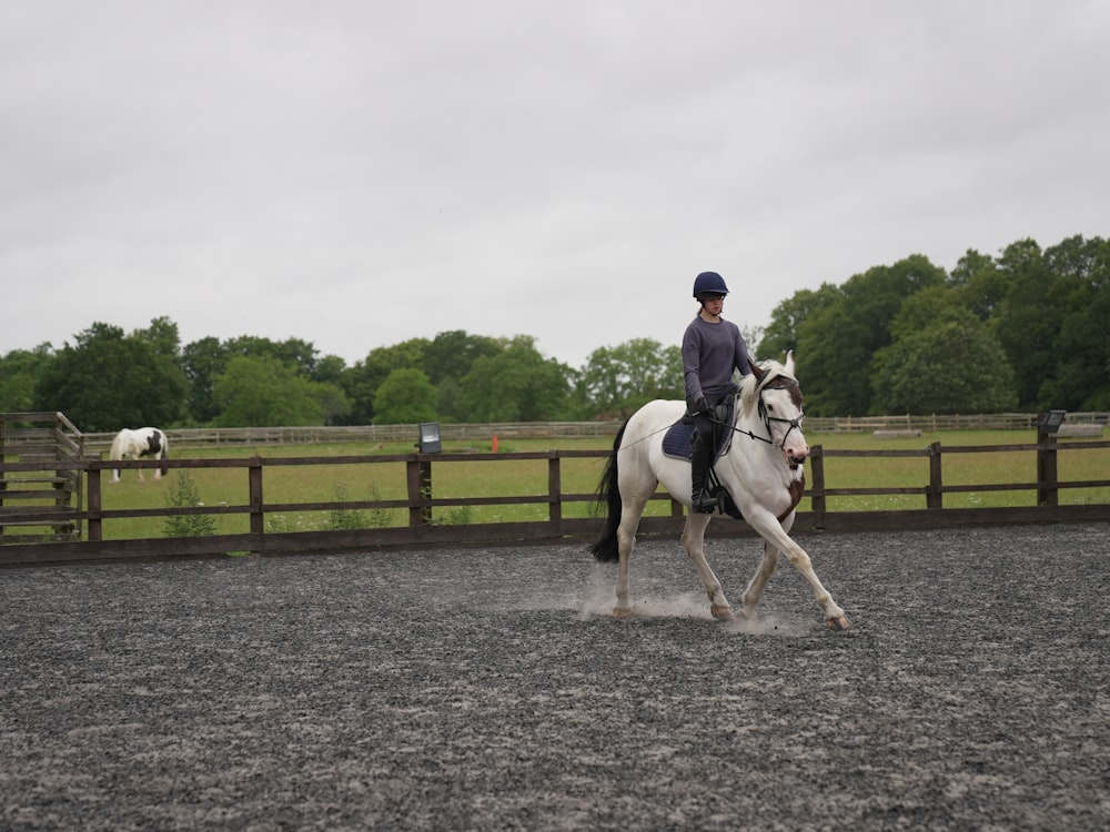 a person riding on the back of a white horse