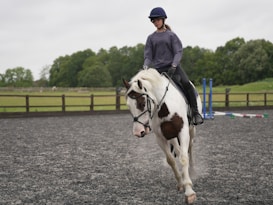 A person wearing a helmet and casual riding attire is riding a white and brown horse on a gray gravel surface within an outdoor riding arena. The background features wooden fencing, green grass, and lush trees under an overcast sky.