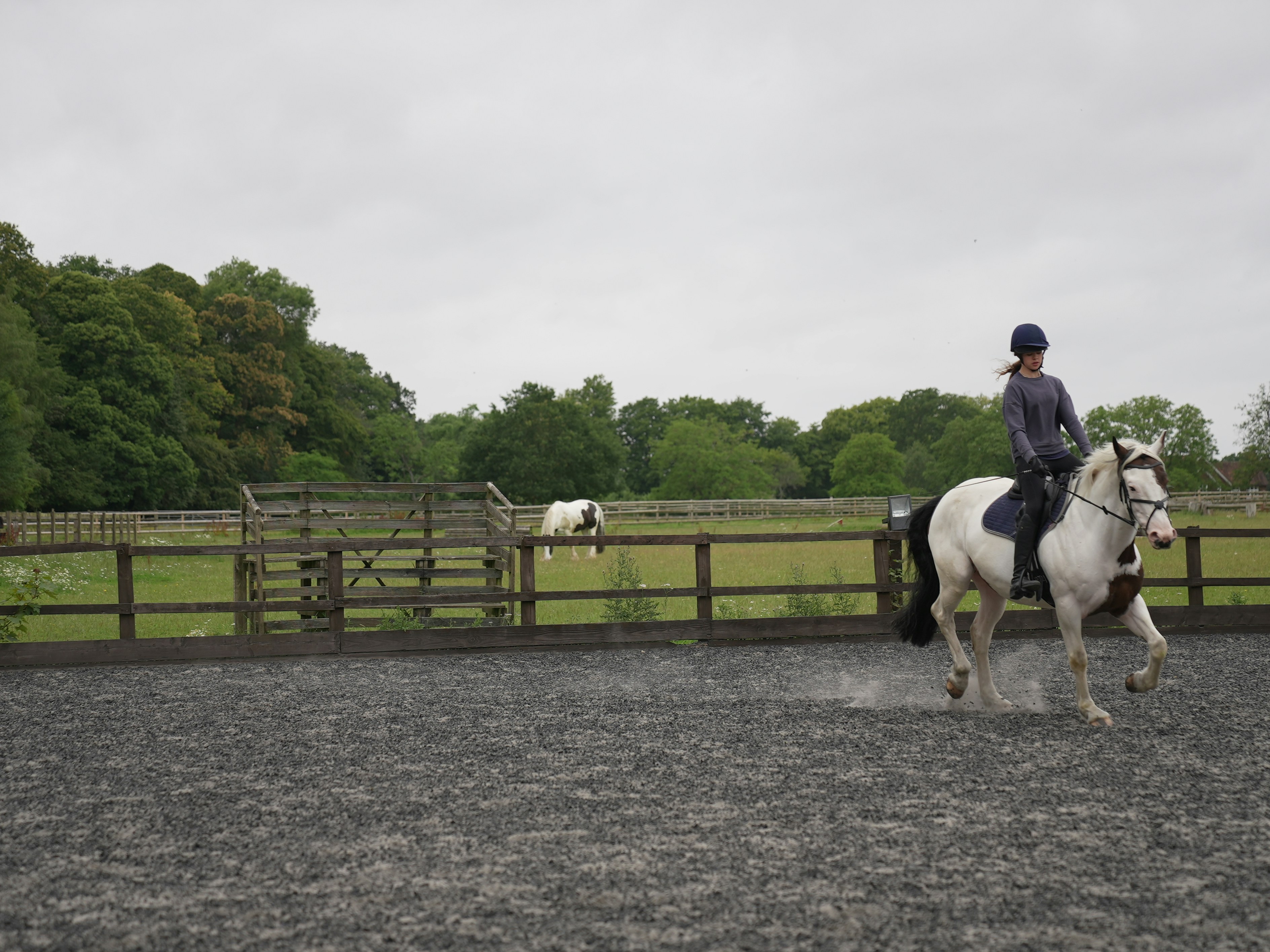 Southern Park Stables