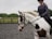 A person is riding a white horse with brown patches in an outdoor riding arena. The person is wearing a helmet, gloves, and a gray long-sleeve shirt. The background shows a fenced area with green grass and trees.