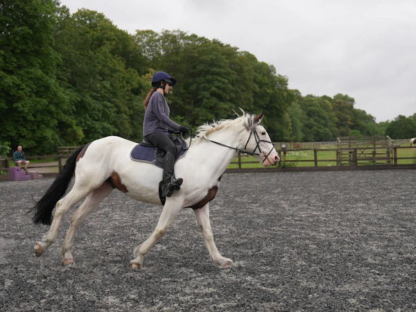 Horse riding lesson