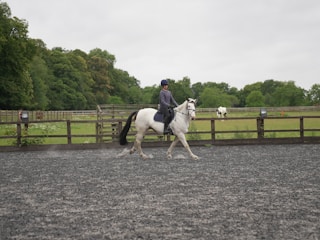 A person is riding a white horse at a canter within a fenced riding arena. The ground is covered with gravel, and there is a wooden fence separating the arena from a grassy field. In the background, more greenery and an additional horse can be seen grazing.