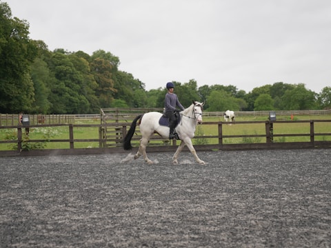 A person is riding a white horse at a canter within a fenced riding arena. The ground is covered with gravel, and there is a wooden fence separating the arena from a grassy field. In the background, more greenery and an additional horse can be seen grazing.