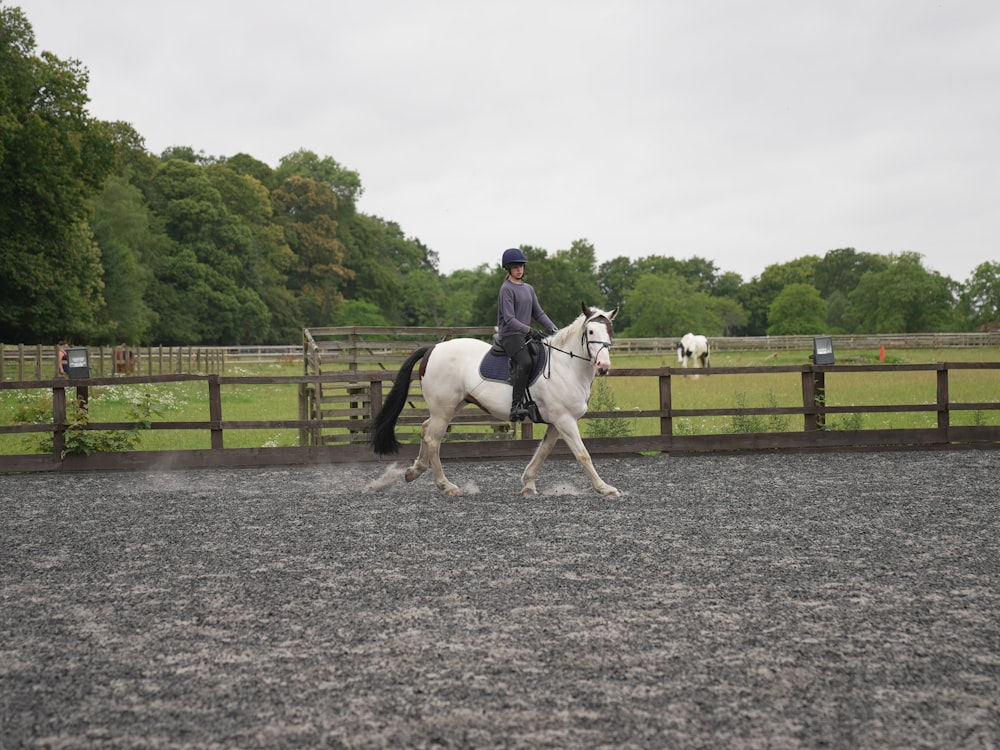 a person riding on the back of a white horse