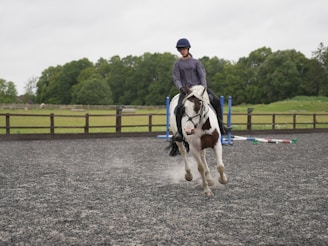 A person wearing a helmet and riding a brown and white horse on a gravel path. The area is enclosed with wooden fencing, and there are jumping poles set up in the background. Lush green trees and grass surround the fenced area.