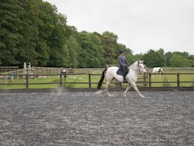 A person is riding a white horse in an outdoor riding arena bordered by a wooden fence. The rider wears a helmet and casual riding apparel. The background features lush green trees and another horse in a pasture, contributing to a serene and natural setting.
