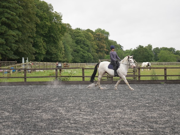A person is riding a white horse in an outdoor riding arena bordered by a wooden fence. The rider wears a helmet and casual riding apparel. The background features lush green trees and another horse in a pasture, contributing to a serene and natural setting.