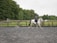 A person is riding a white horse in an outdoor riding arena bordered by a wooden fence. The rider wears a helmet and casual riding apparel. The background features lush green trees and another horse in a pasture, contributing to a serene and natural setting.