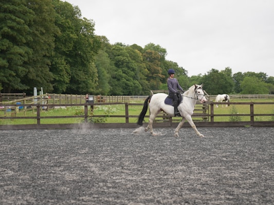 A person is riding a white horse in an outdoor riding arena bordered by a wooden fence. The rider wears a helmet and casual riding apparel. The background features lush green trees and another horse in a pasture, contributing to a serene and natural setting.