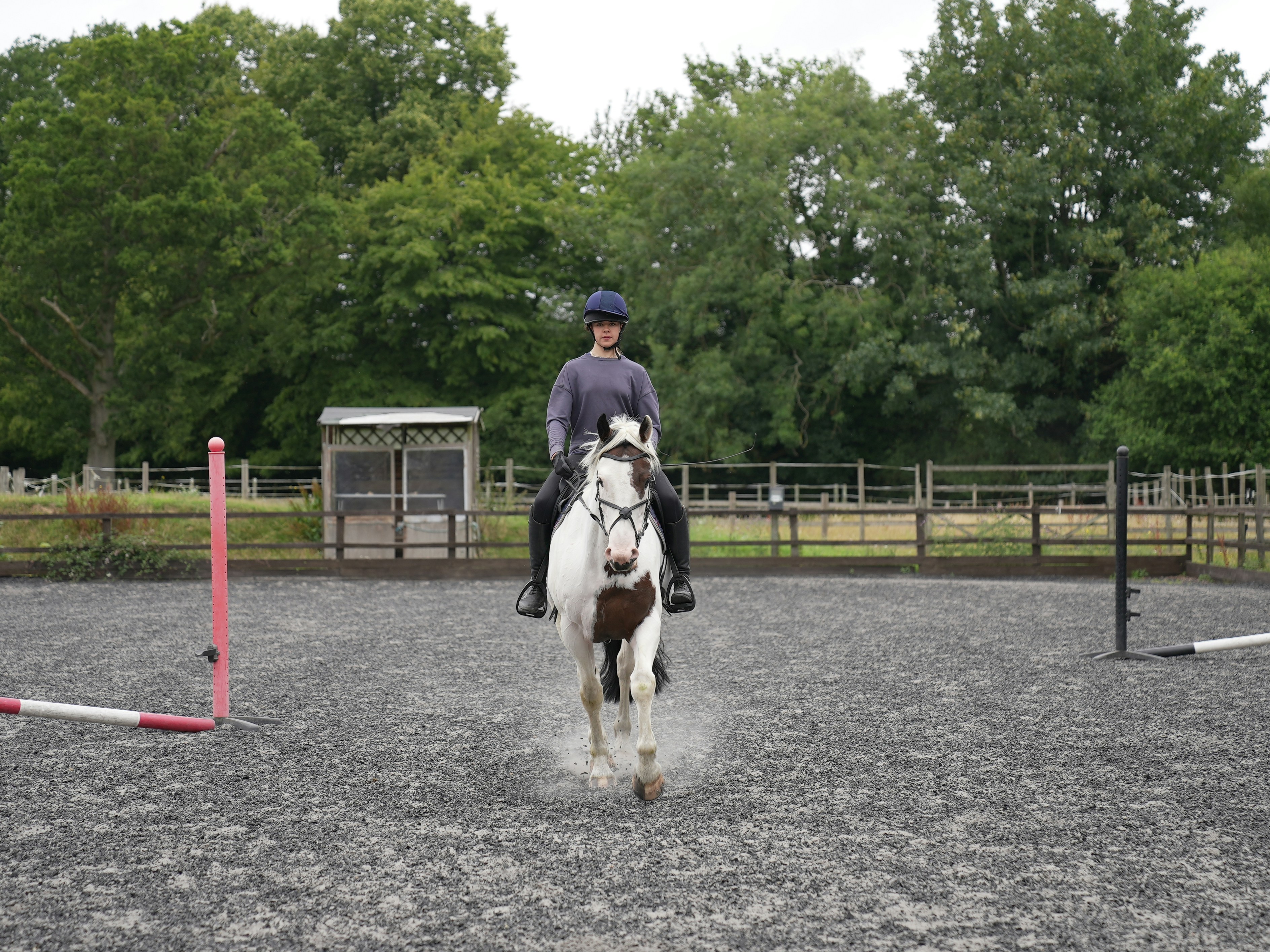 Photo by oscar_scannell