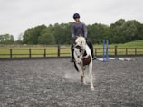 A person riding a white horse with brown patches in an outdoor equestrian arena. The rider is wearing a helmet and casual riding attire. The arena is enclosed by a wooden fence and has several jumping poles placed in the background. The setting appears to be a large, grassy field with trees in the background under a cloudy sky.