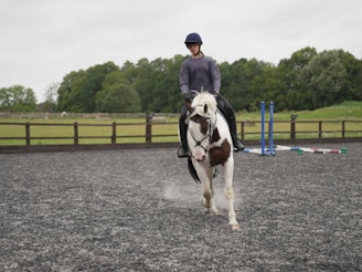 A person riding a white horse with brown patches in an outdoor equestrian arena. The rider is wearing a helmet and casual riding attire. The arena is enclosed by a wooden fence and has several jumping poles placed in the background. The setting appears to be a large, grassy field with trees in the background under a cloudy sky.