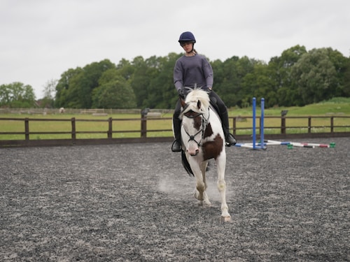 A person riding a white horse with brown patches in an outdoor equestrian arena. The rider is wearing a helmet and casual riding attire. The arena is enclosed by a wooden fence and has several jumping poles placed in the background. The setting appears to be a large, grassy field with trees in the background under a cloudy sky.