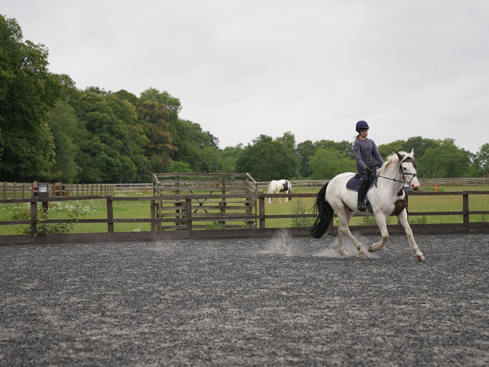 a man riding on the back of a white horse