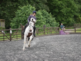 A person is riding a white and brown horse in a fenced outdoor arena, surrounded by lush green trees. Another person is sitting on a purple stand by the fence, observing.