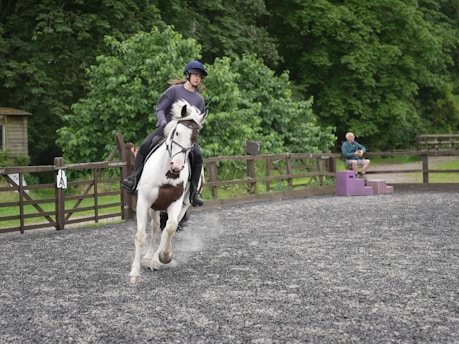 A person is riding a white and brown horse in a fenced outdoor arena, surrounded by lush green trees. Another person is sitting on a purple stand by the fence, observing.