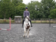 A person dressed in equestrian gear, including a helmet, is riding a white and brown horse on a gravel surface in an outdoor setting. The background features lush green trees and a fenced area, indicative of an equestrian training ground or arena.