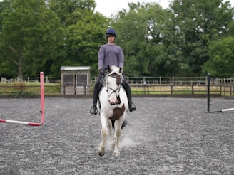 A person dressed in equestrian gear, including a helmet, is riding a white and brown horse on a gravel surface in an outdoor setting. The background features lush green trees and a fenced area, indicative of an equestrian training ground or arena.