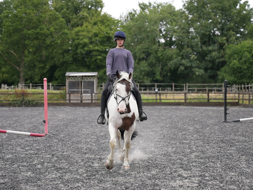 a person riding a horse in an arena