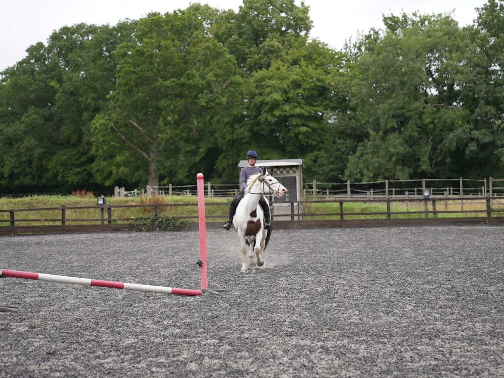 a person riding a horse in an arena