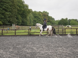 A person is riding a horse in an outdoor riding arena surrounded by fencing. The horse is white with brown patches. The rider is wearing equestrian gear, including a helmet. In the background, there is green foliage and trees.