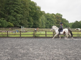 A person rides a white and brown horse in an outdoor arena with a backdrop of lush green trees and wooden fences. The ground is gray and textured, likely consisting of sand or dirt. In the background, another person walks and there are structures and fields that suggest an equestrian facility.