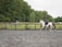 A person rides a white and brown horse in an outdoor arena with a backdrop of lush green trees and wooden fences. The ground is gray and textured, likely consisting of sand or dirt. In the background, another person walks and there are structures and fields that suggest an equestrian facility.